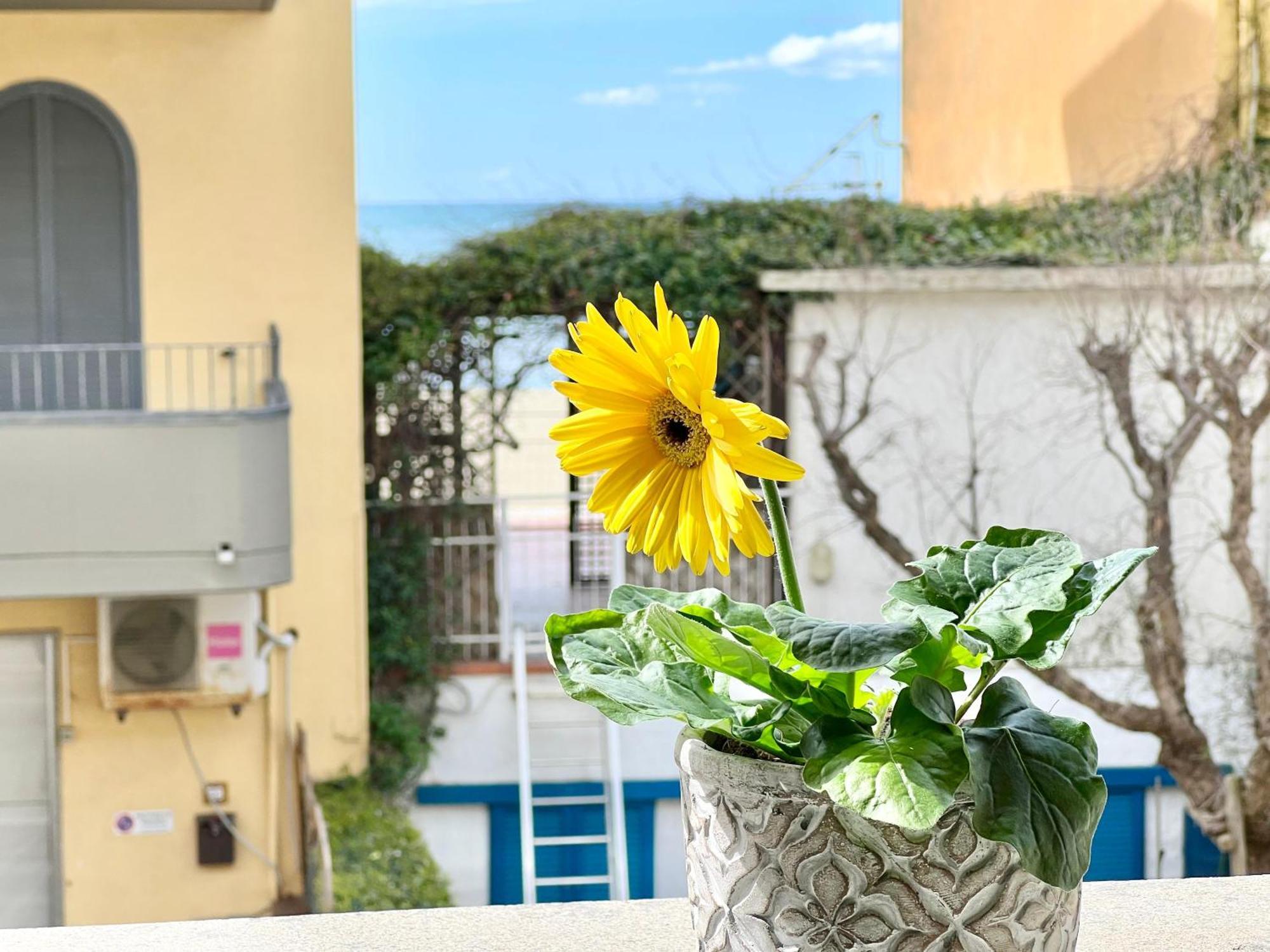 Mono Rosina, Aria Condizionata E Balcone A Soli 50 Metri Dal Mare! By Alfareal Castiglione della Pescaia Extérieur photo